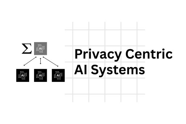 Privacy Centric AI